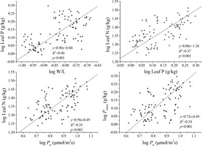 The morphology and nutrient content drive the leaf carbon capture and economic trait variations in subtropical bamboo forest